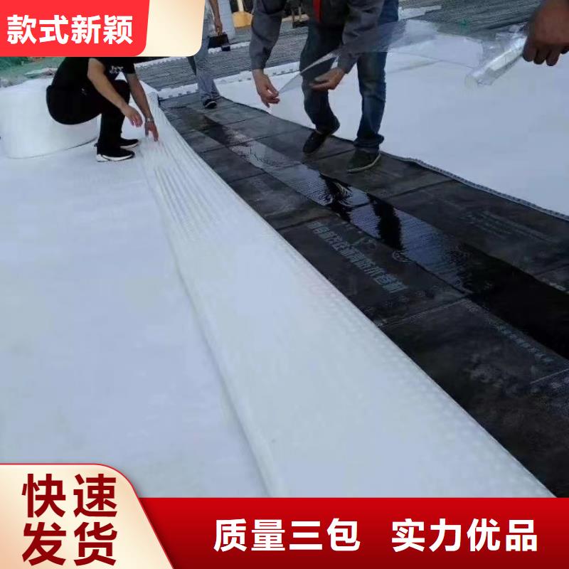 防护虹吸排水收集系统本地工厂