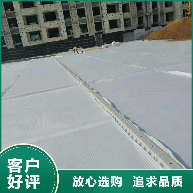 防护虹吸排水收集系统批发价