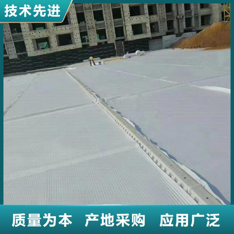 虹吸排水_排水板专心专注专业