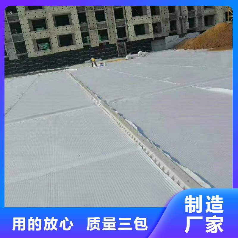 防护虹吸排水收集系统源头厂家