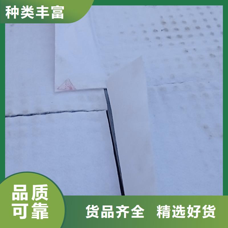 虹吸排水植草格以质量求生存