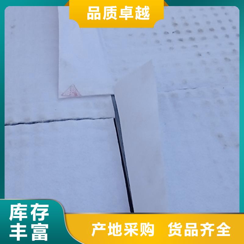 防护虹吸排水收集系统本地厂家