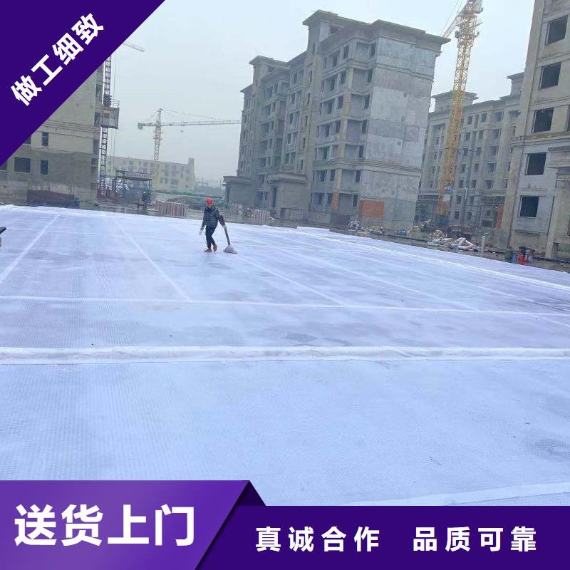 防护虹吸排水收集系统在线报价