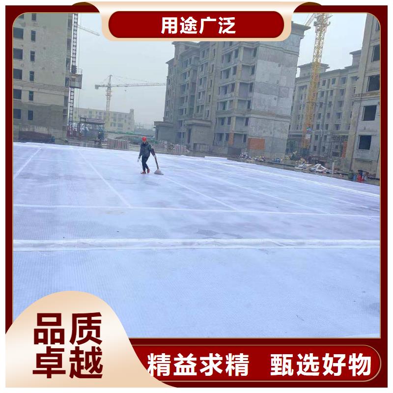 虹吸排水_排水板经久耐用
