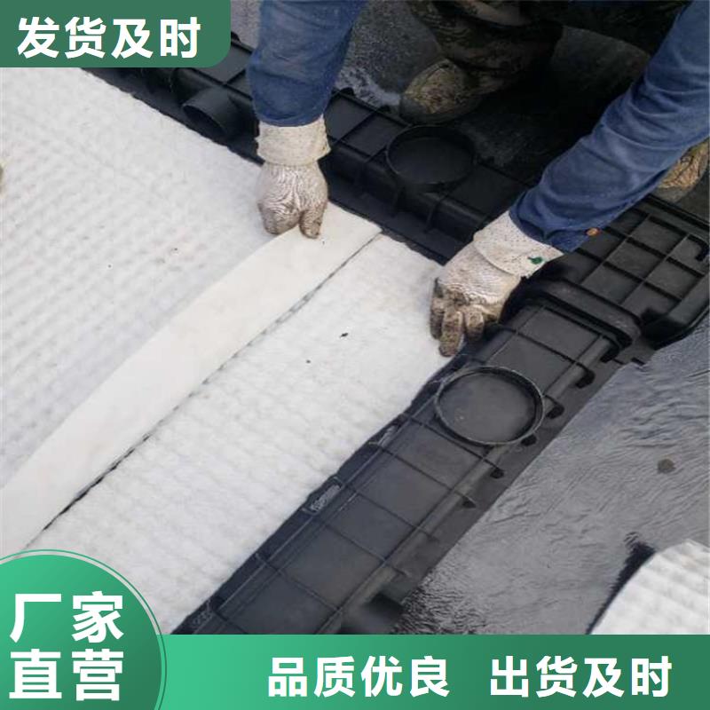 防护虹吸排水收集系统在线报价