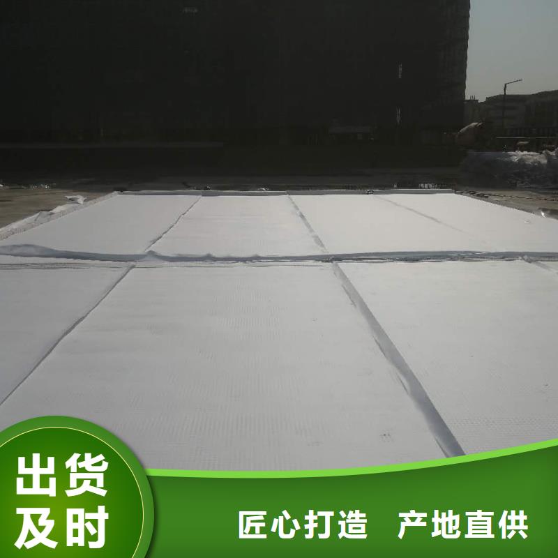 虹吸排水水泥化粪池专业完善售后