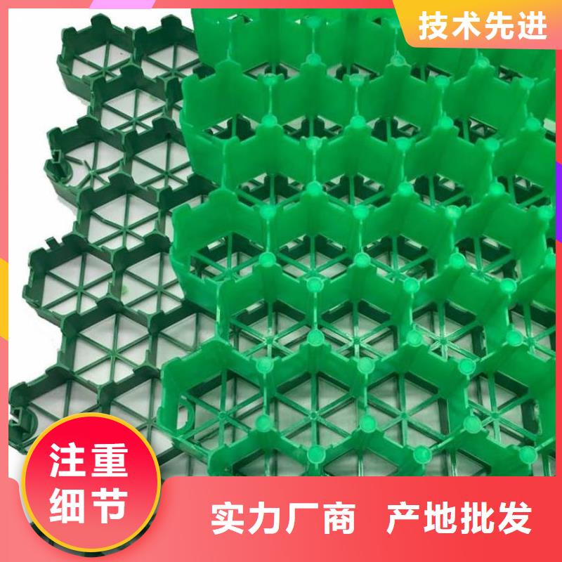 塑料植草格价格多少