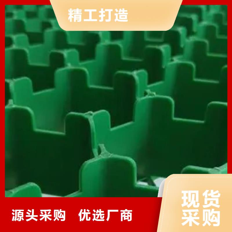 塑料植草格厂家-批发价