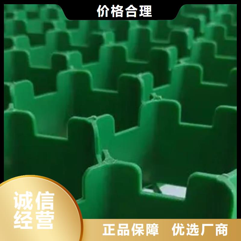 植草格本地货源