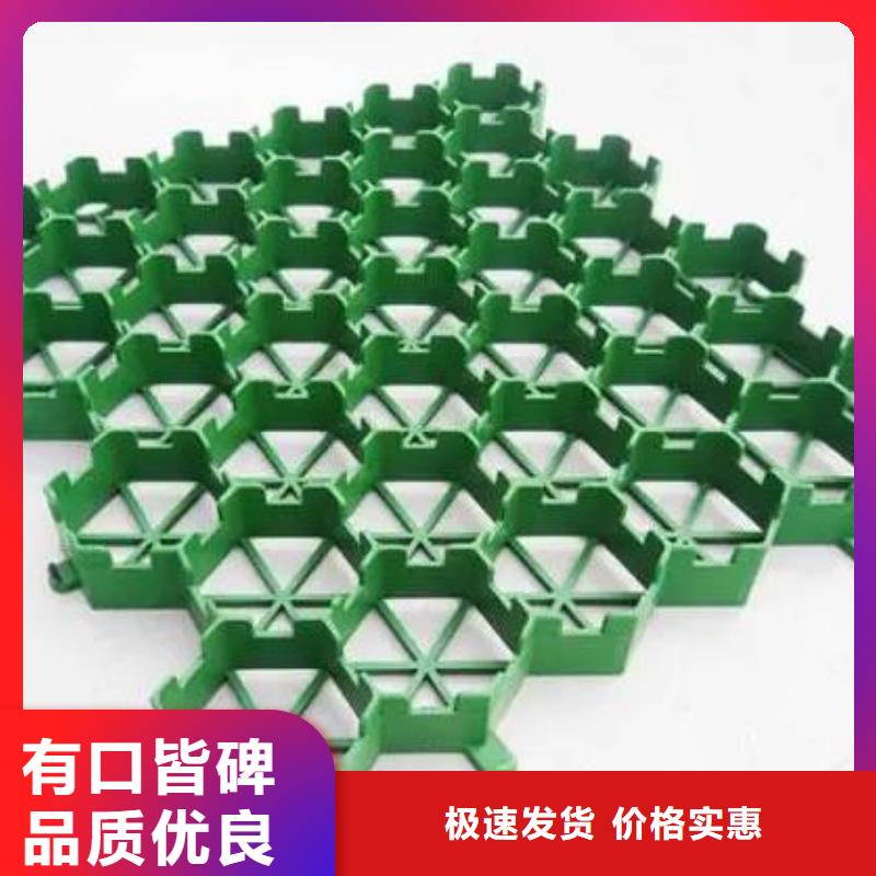 塑料植草格价格多少