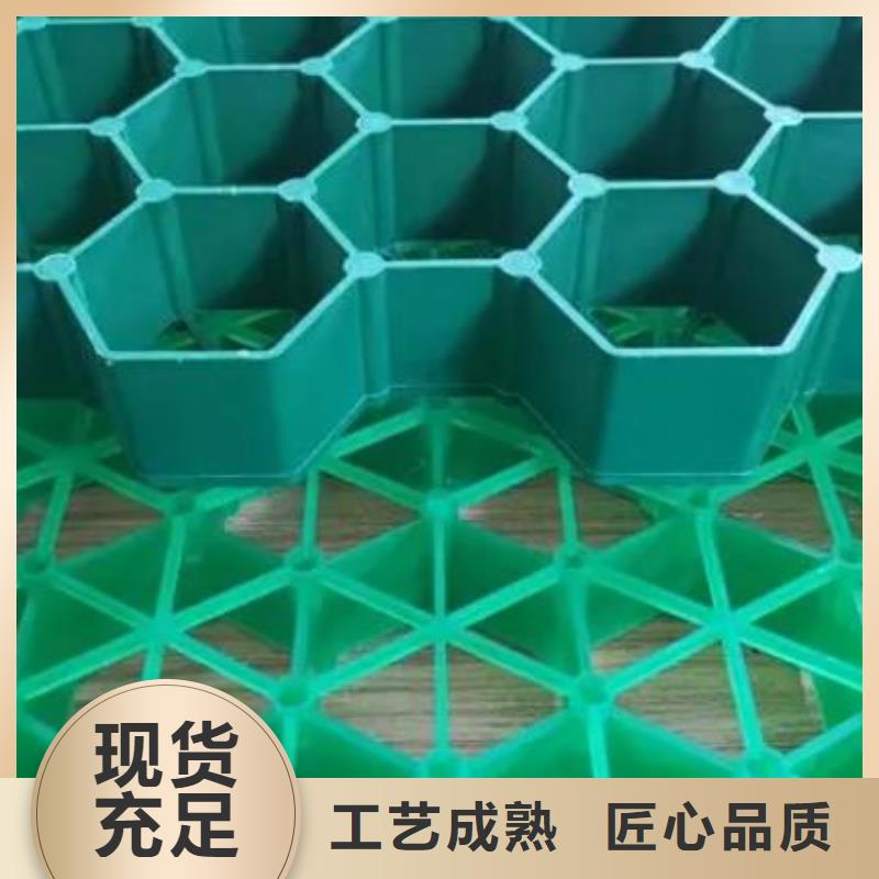 塑料植草格-朋联集团