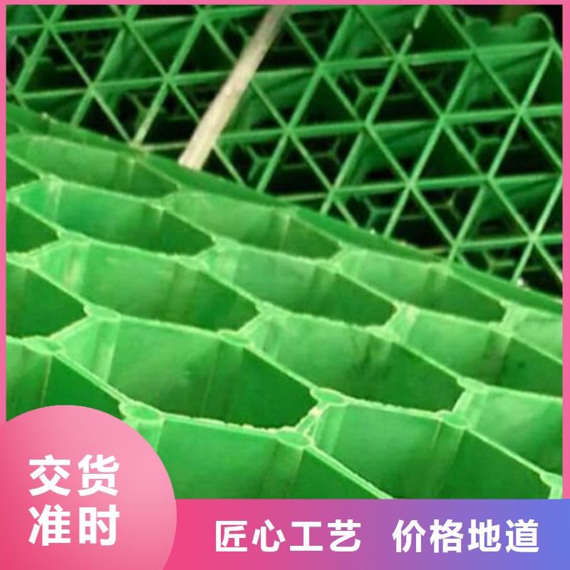 植草格哪里能买