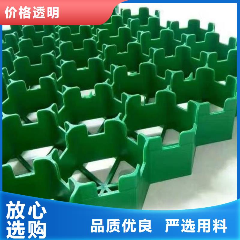 塑料植草格-朋联集团