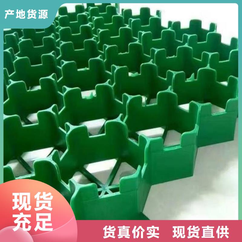 塑料植草格厂家直供