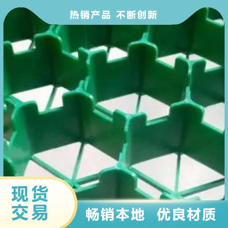 停车场植草格-植草格厂家