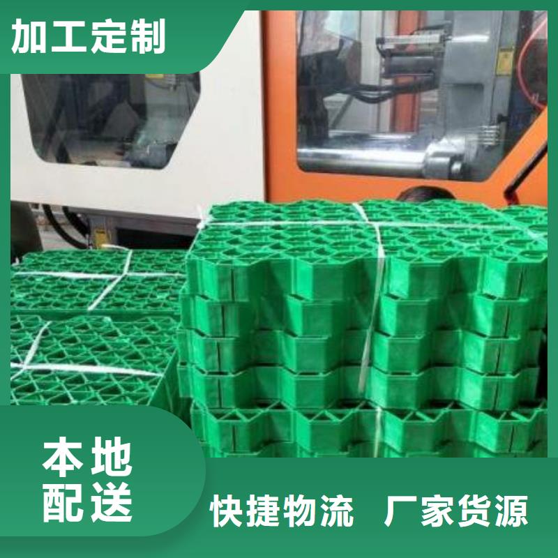 塑料植草格/本地公司