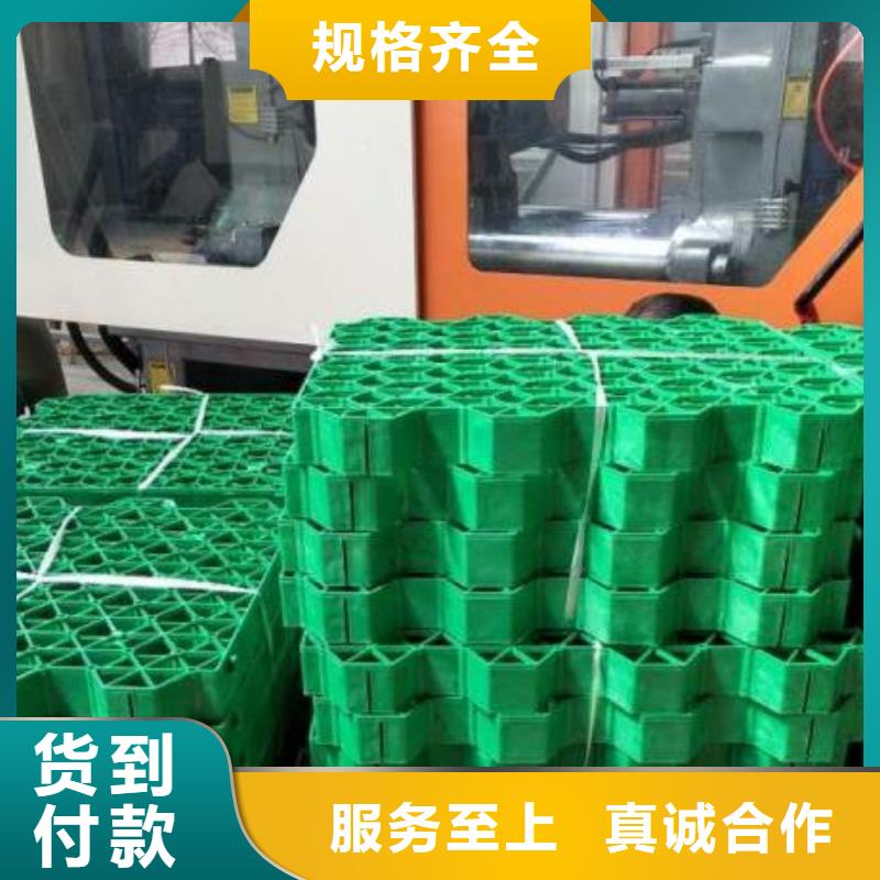 塑料植草格多钱