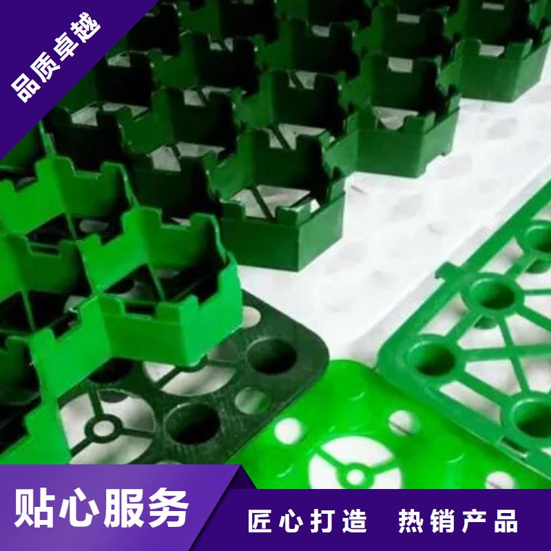 植草格-消防通道植草格厂家