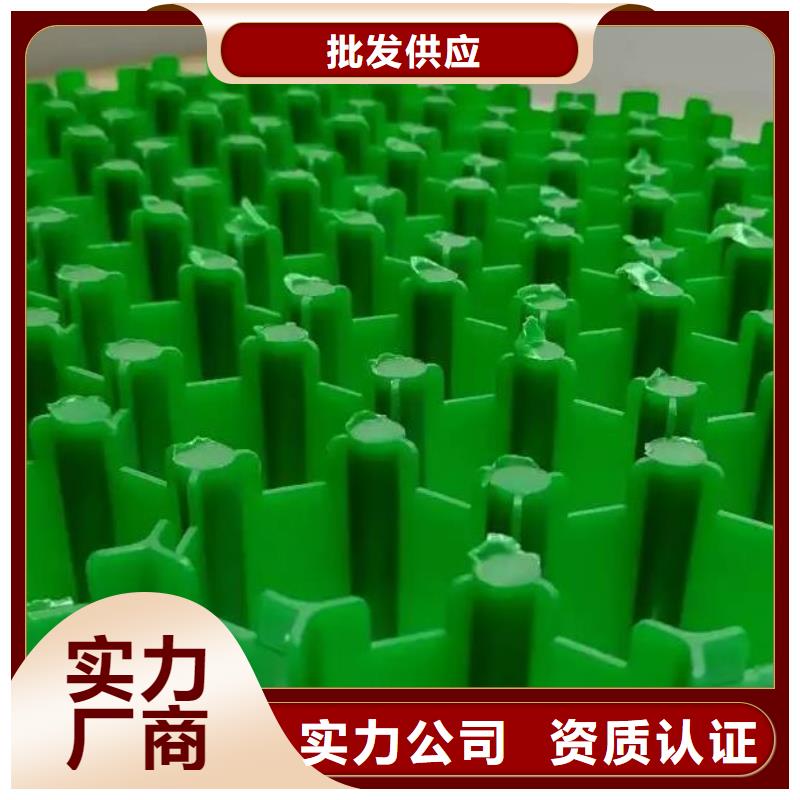 【植草格】_防护虹吸排水收集系统超产品在细节