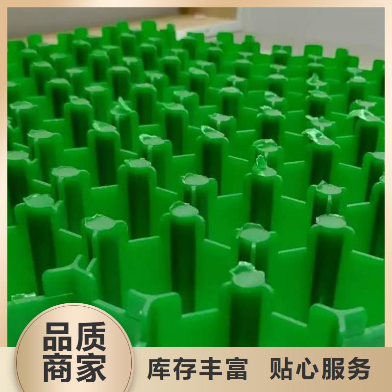 停车场植草格-停车场植草格厂家店