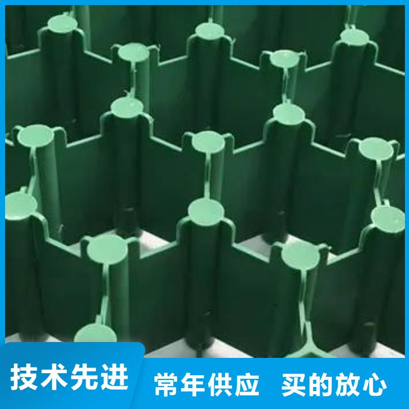 植草格正规厂家