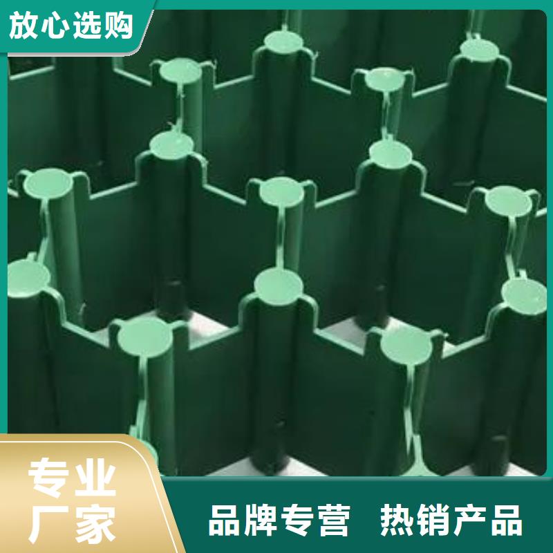 植草格批发-行情价