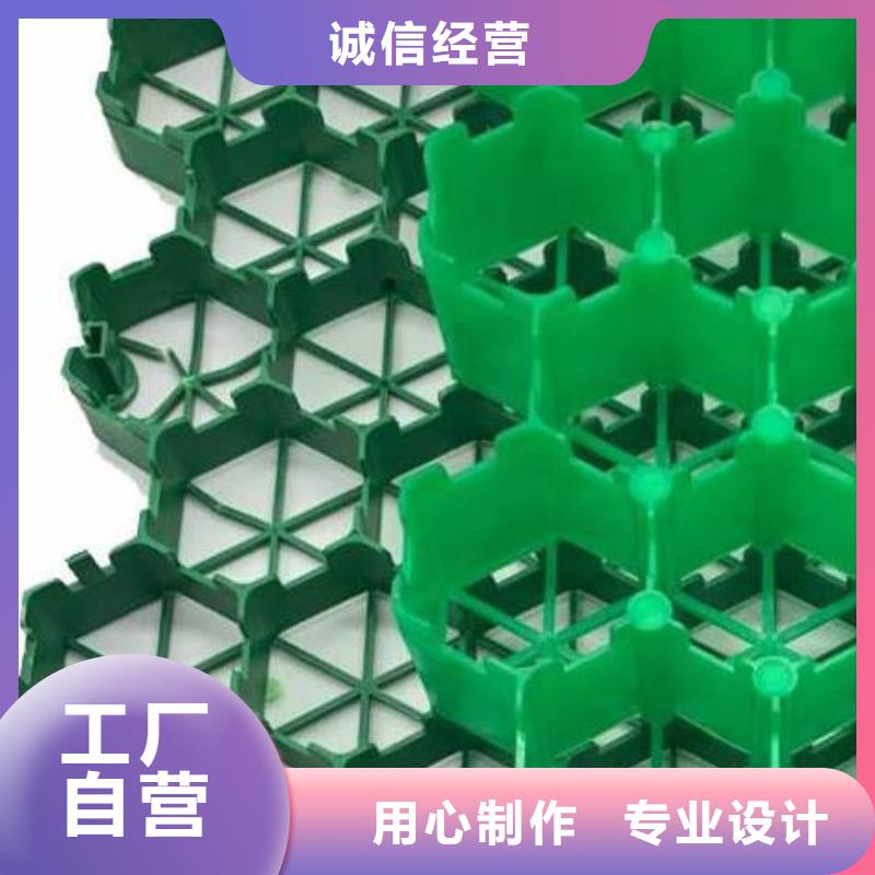 停车场植草格价格/欢迎咨询
