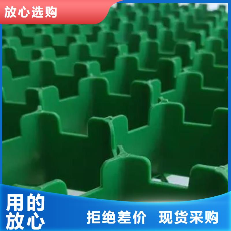 塑料植草格-停车场植草格实业公司