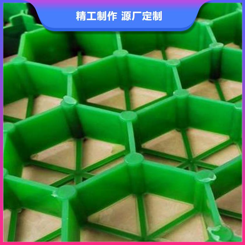 塑料植草格-本地工厂