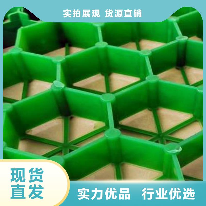植草格化粪池水泥服务始终如一