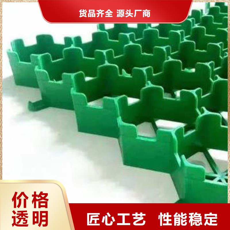 植草格防护虹吸排水收集系统设备齐全支持定制