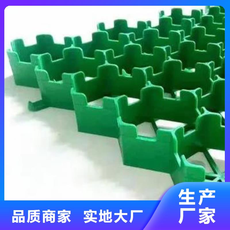 植草格本地公司