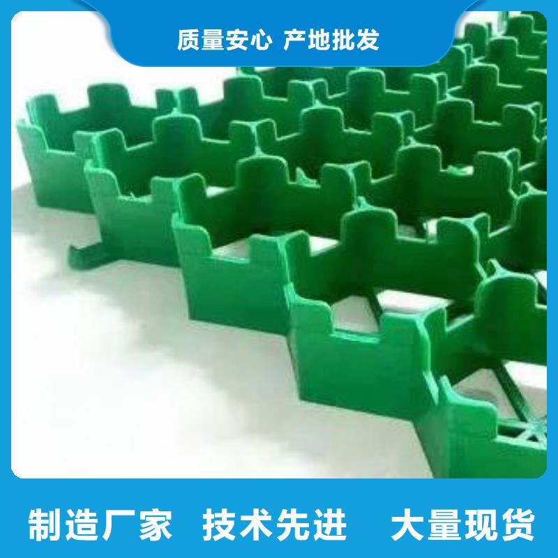 塑料植草格批发-行情价