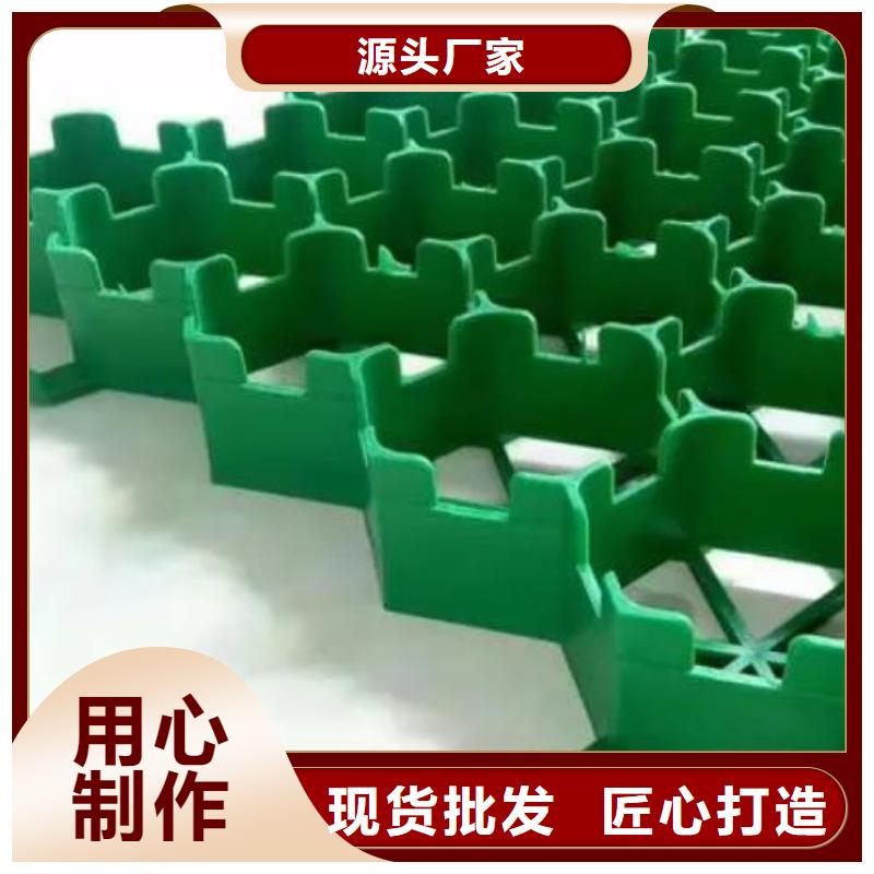 植草格正规厂家