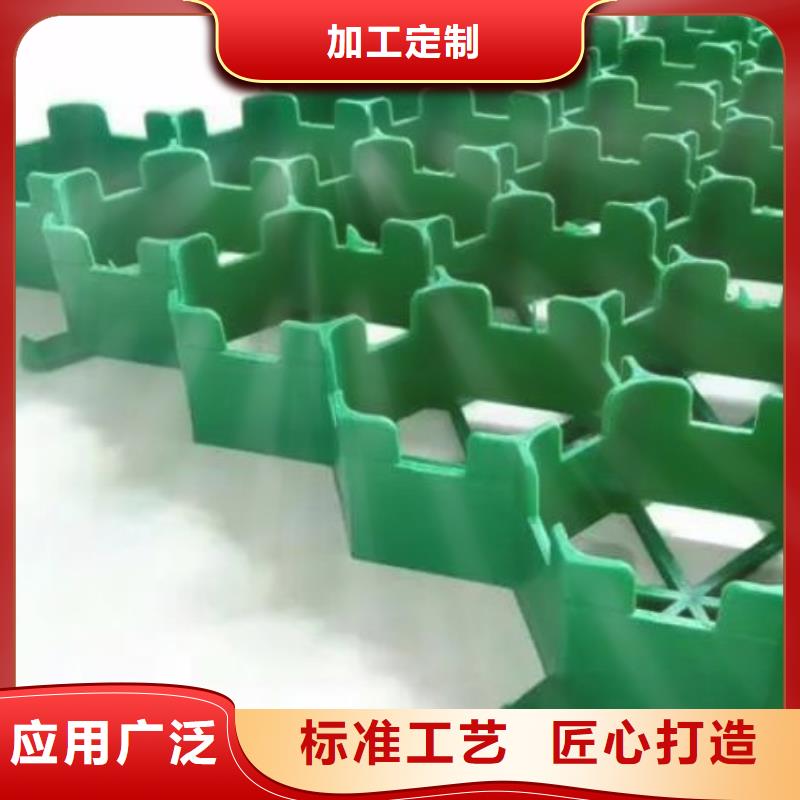 植草格防护虹吸排水收集系统设备齐全支持定制