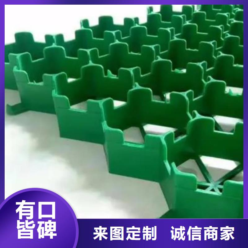 植草格/本地公司