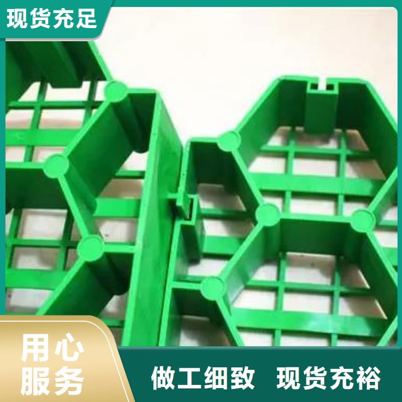 塑料植草格/本地公司