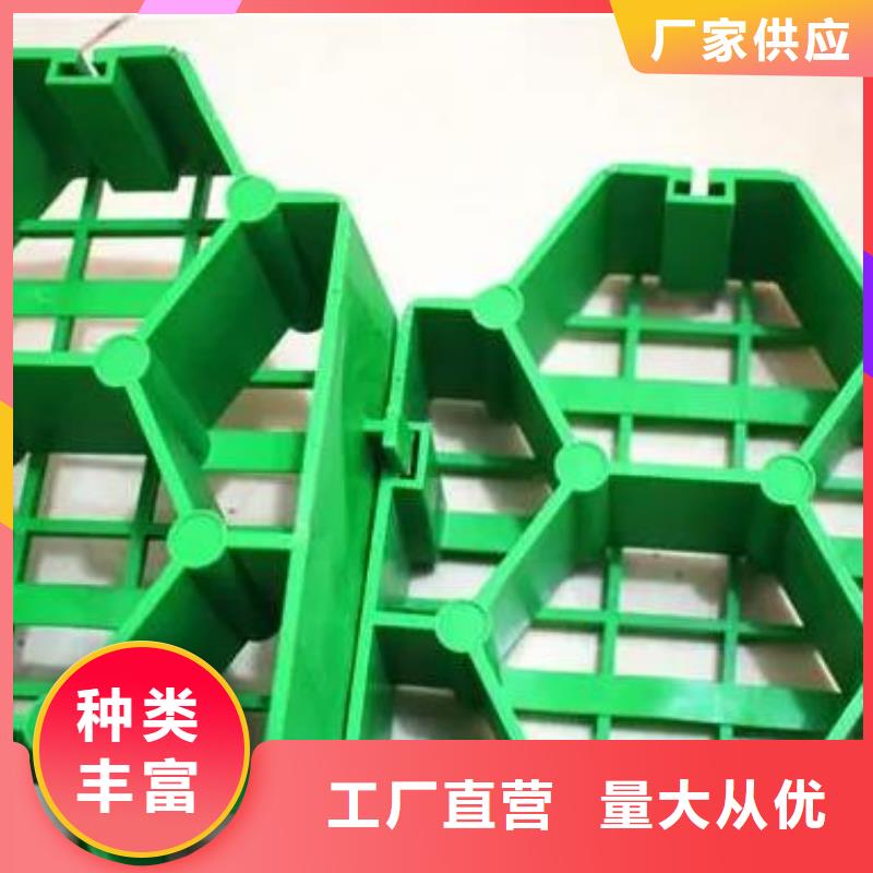 植草格批发-行情价