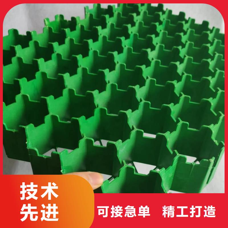 植草格价格/欢迎咨询