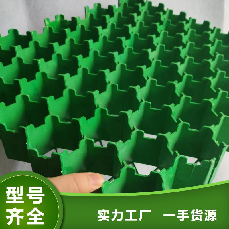 植草格朋联工程-厂家直销