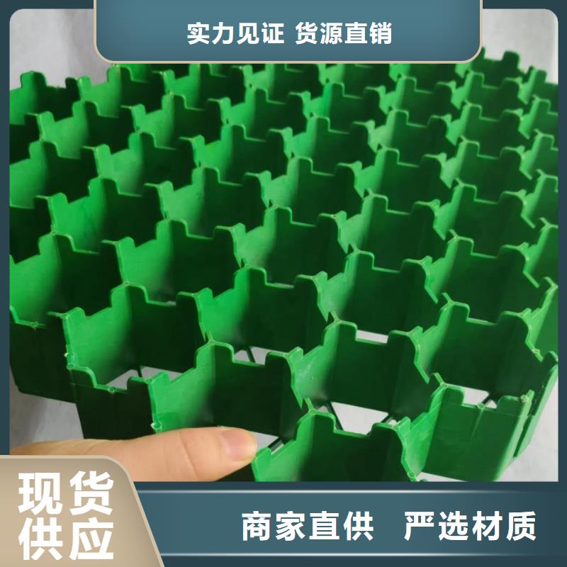 塑料植草格-行情价