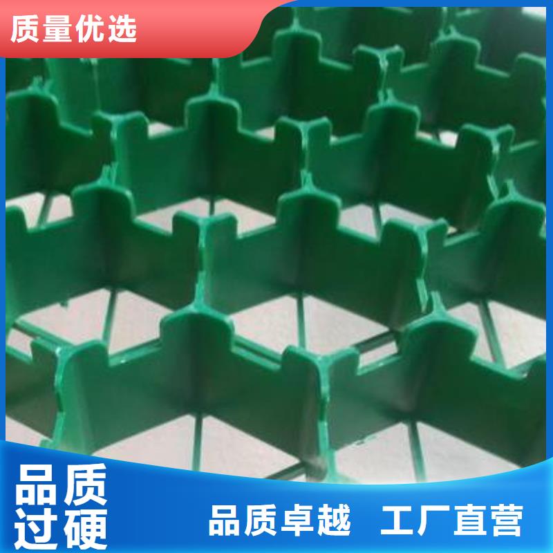 植草格厂家-本地工厂
