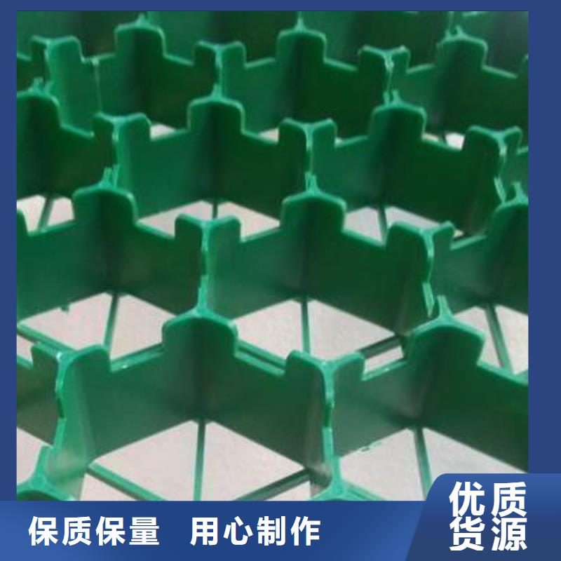塑料植草格-本地工厂