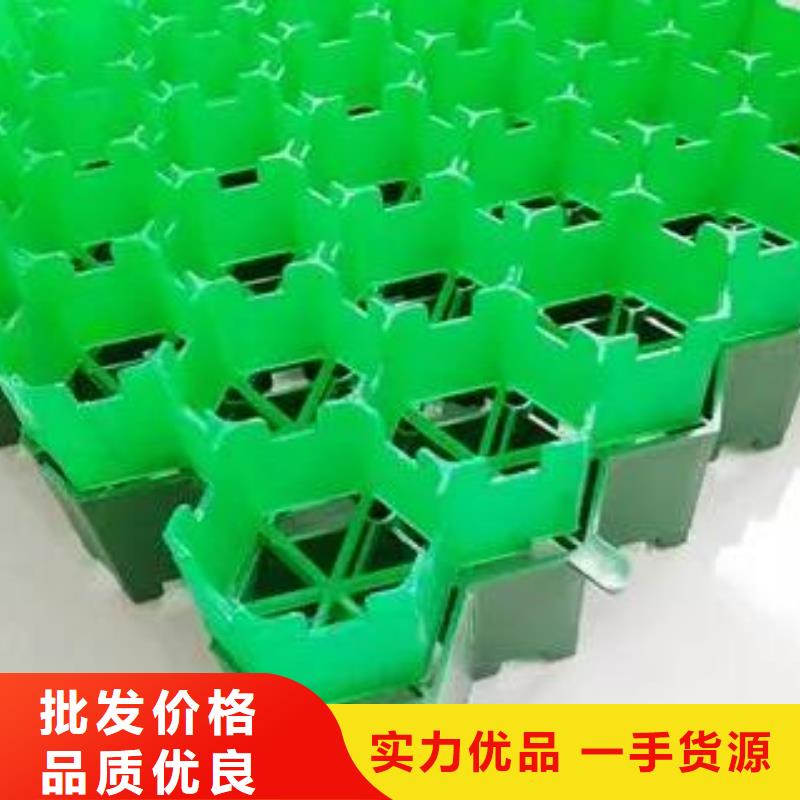 停车场植草格价格/欢迎咨询