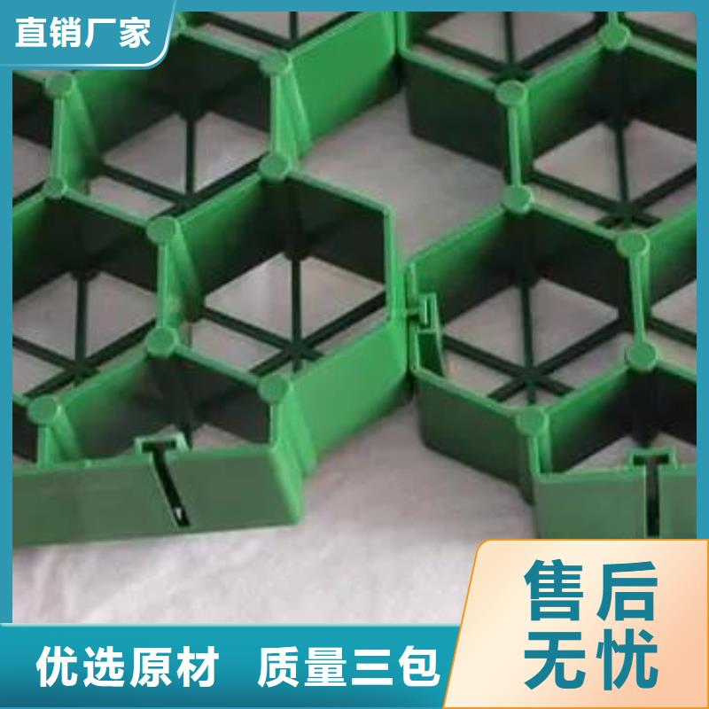 塑料植草格本地货源