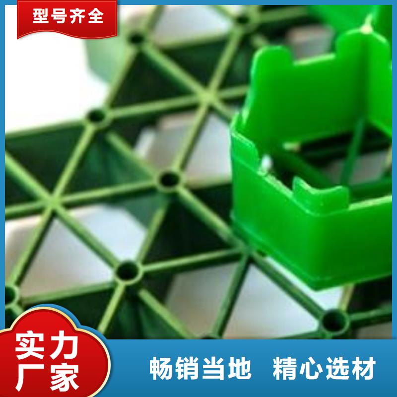 植草格哪里能买