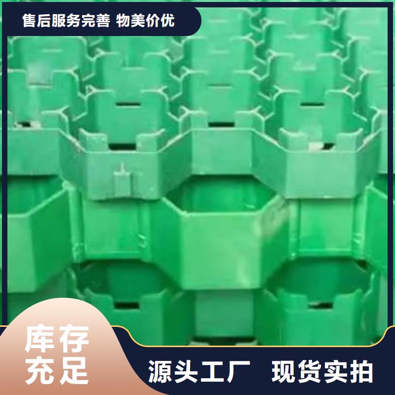 植草格排水板就近发货