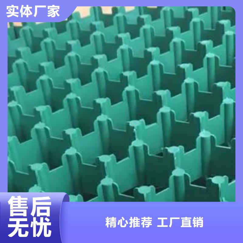 植草格规格定制@欢迎您