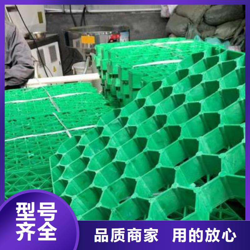 塑料植草格-朋联集团