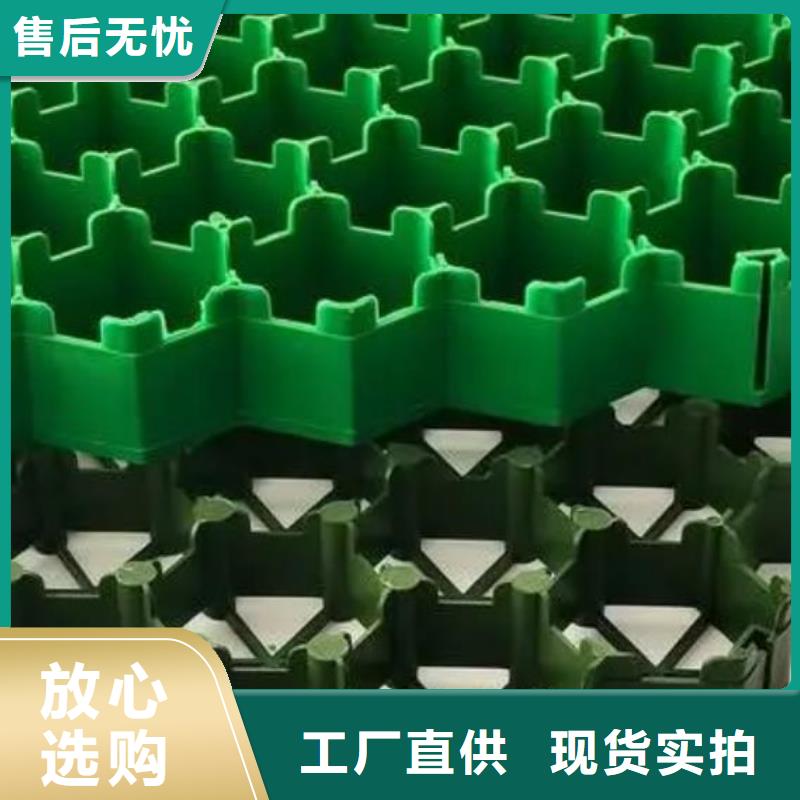植草格-朋联集团